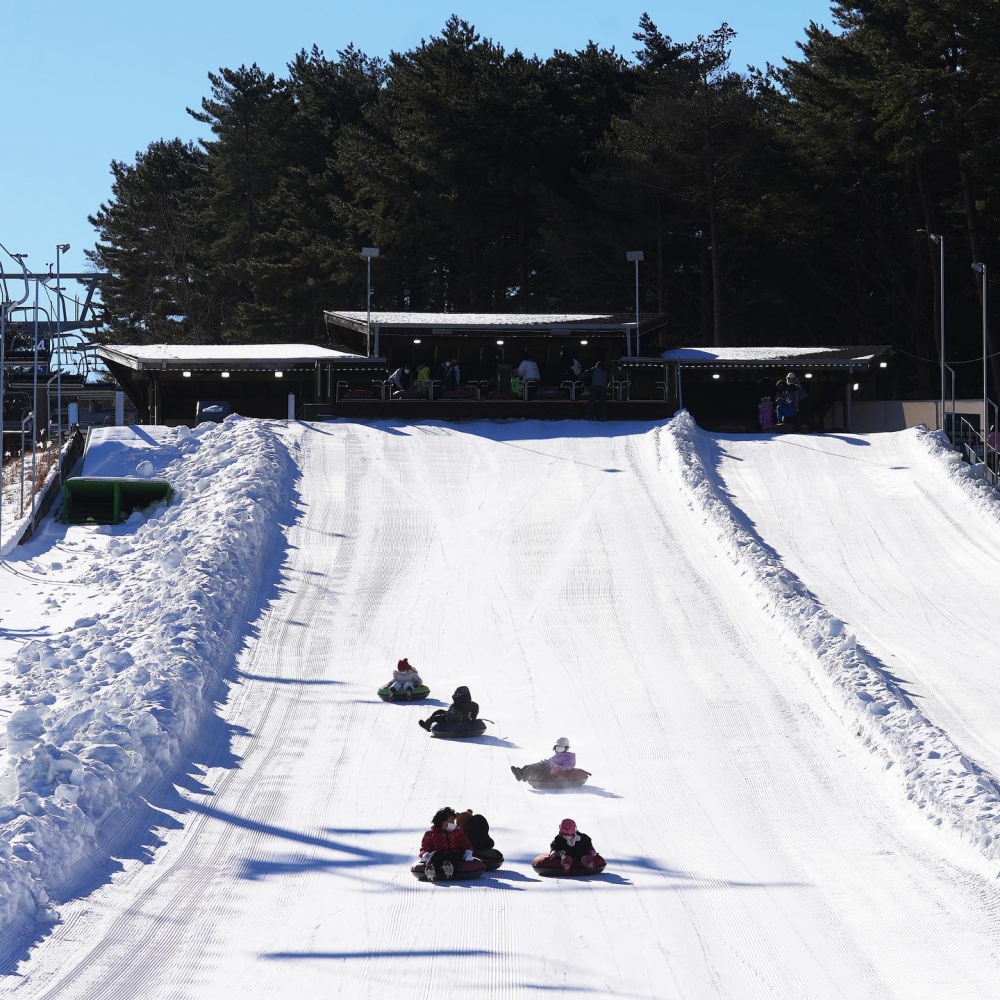 龍平滑雪場共有28條難度不一樣的雪道,不論初中高級者都能好好享受滑雪的樂趣~