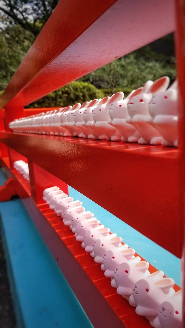 一排排的兔子神籤成為岡崎神社人氣最高的打卡熱點!