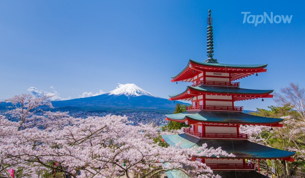 日本向來係港人最喜歡旅遊的國家～現時每兩位憑券購買日本自由行套票滿$5000，即可用$500現金券，超抵玩！