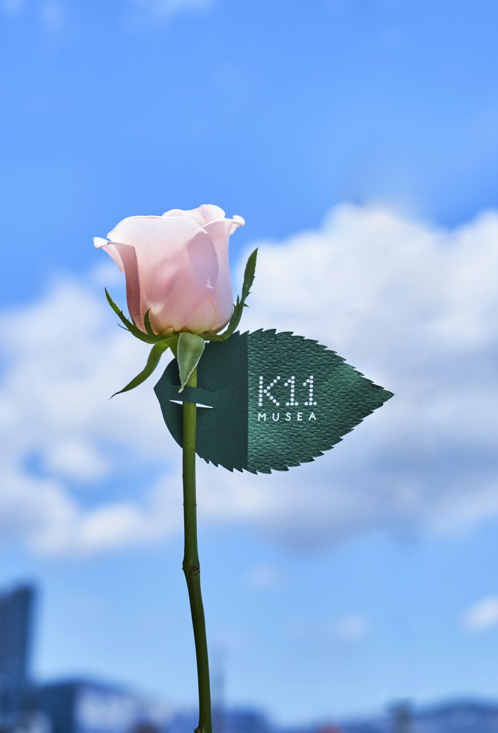 KLUB 11會員參加「Stamped with Love」活動，在2月11日或14日更可獲贈一支玫瑰！