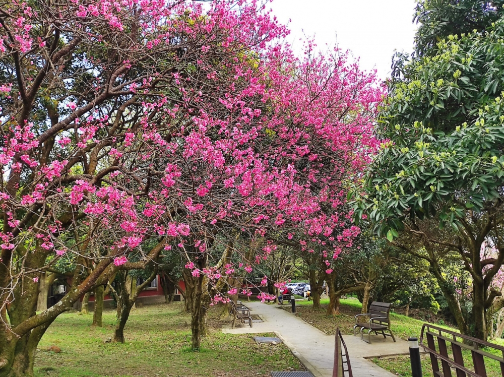 陽明山國家公園