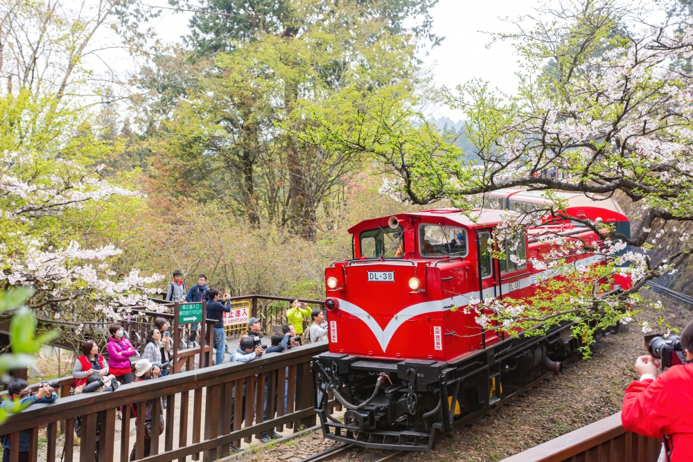 舊式的阿里山森林火車