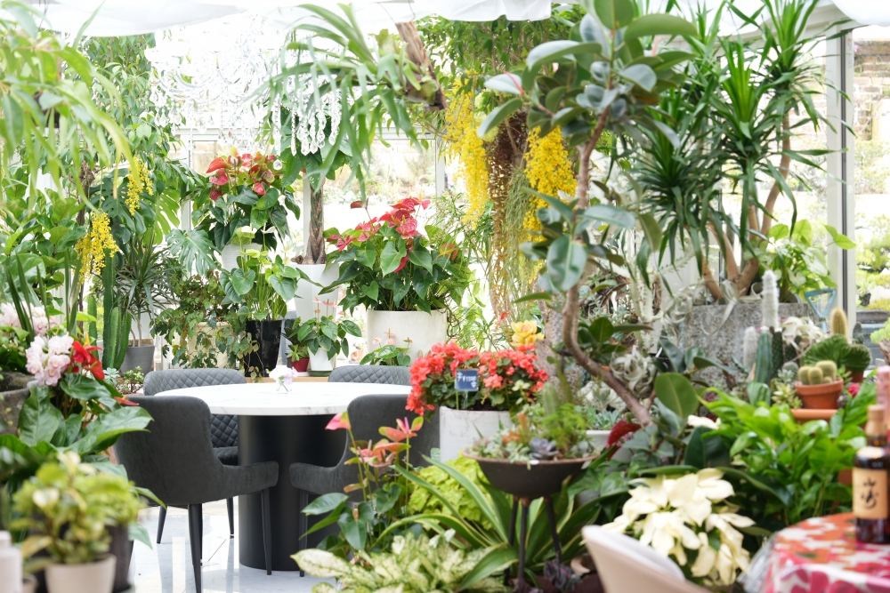 三原庭園有間坐擁無敵市景嘅Cafe,喺花團擁簇下享受下午茶點