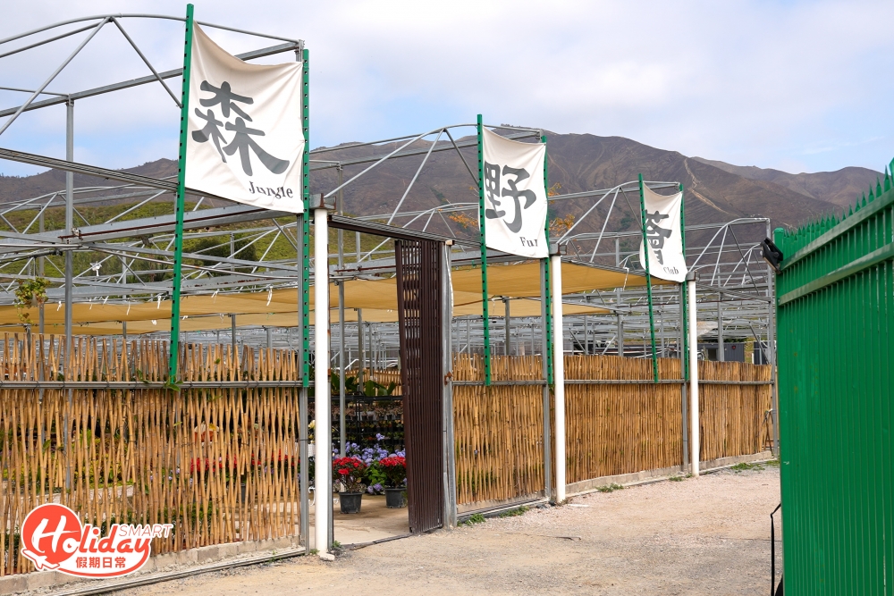 要去森野薈可以由錦上路地鐵站轉乘601小巴，於北圍村下車，再步行到錦田鄉村俱樂部