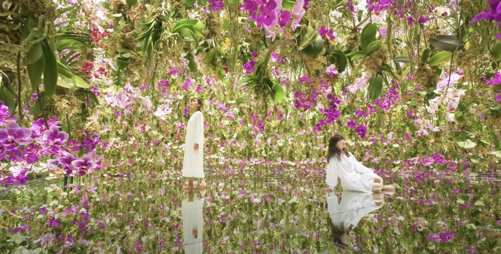作品「漂浮的花園──花朵與我同根同源,花園與我合為一體」