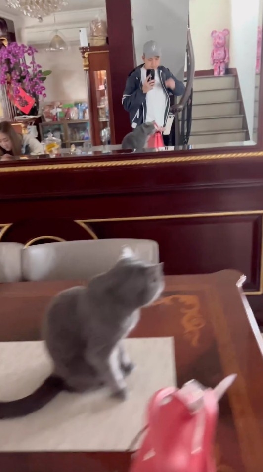 婚後伍富橋進駐女方相思灣5,000呎豪宅，可見佢哋家中以裝修以木系傢私為主