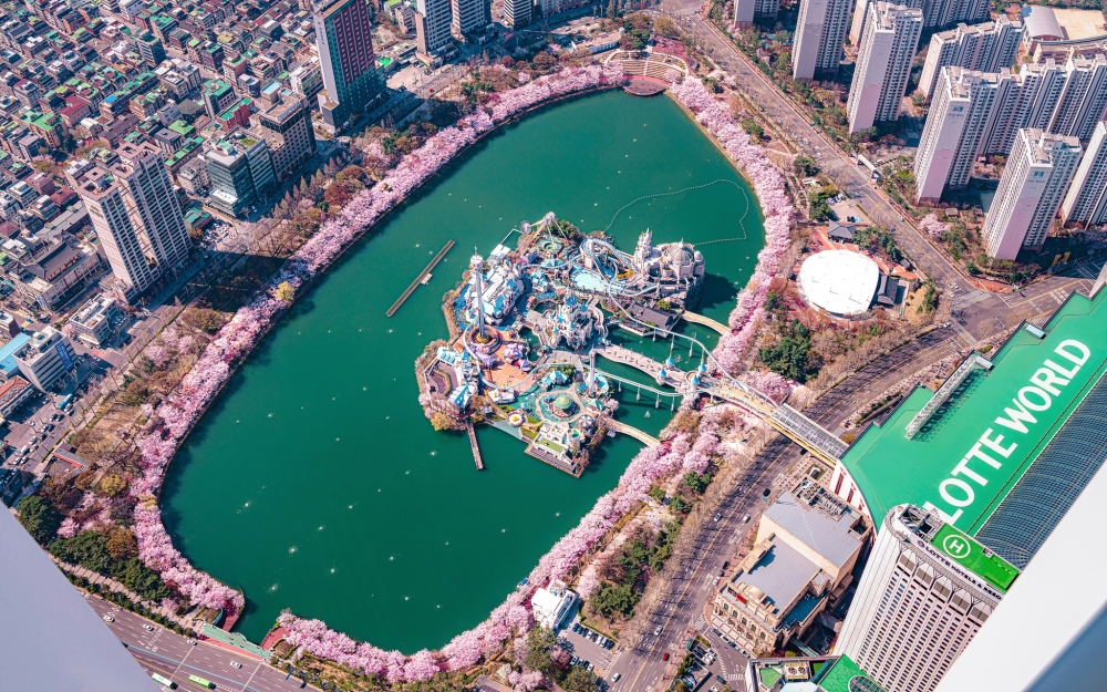 韓國賞櫻景點推介：石村湖