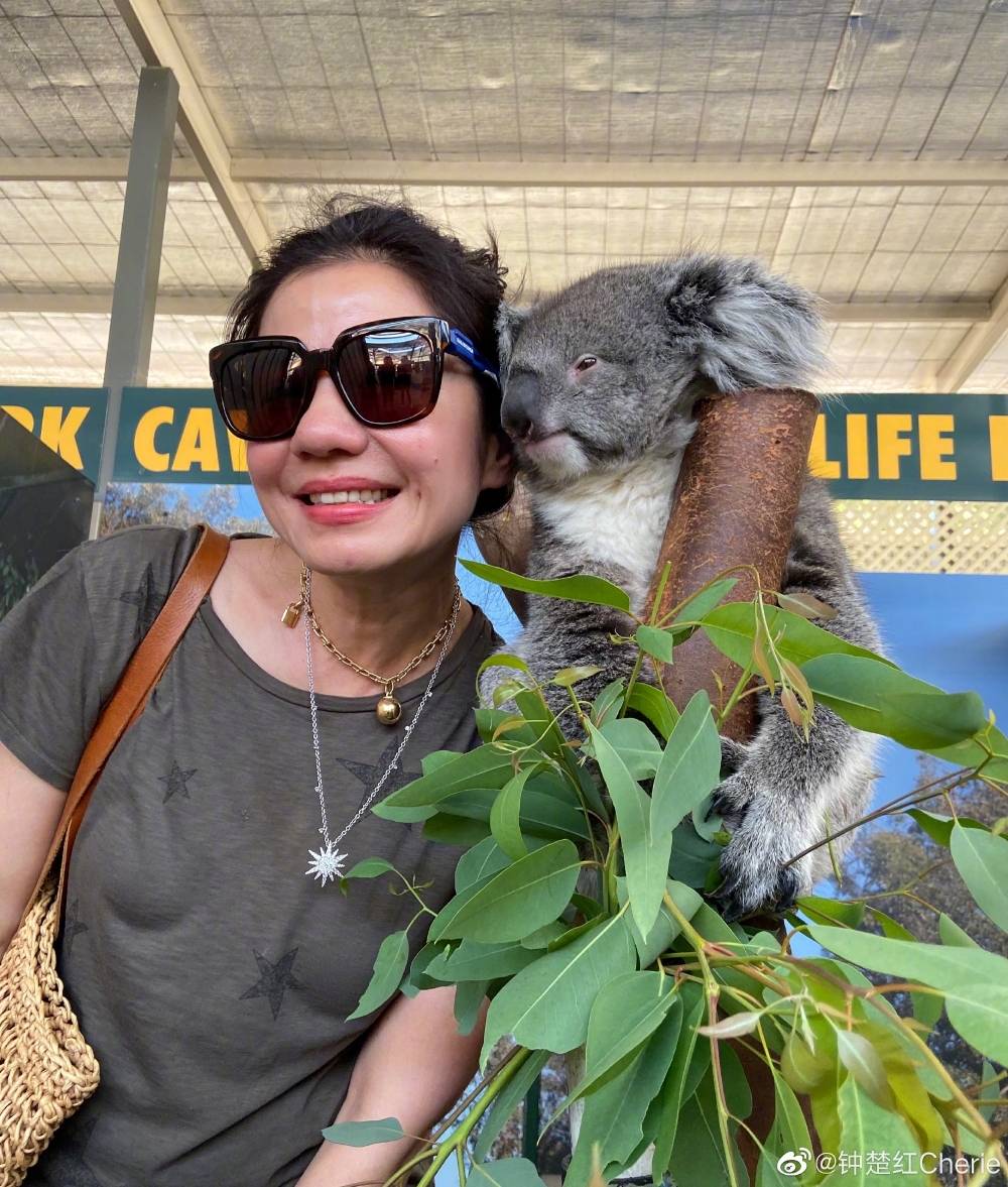 鍾楚紅淡出多年，近年周遊列國