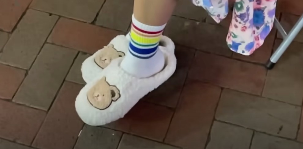 一直身穿嘅毛毛拖鞋