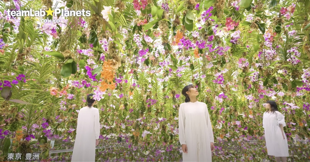 作品「漂浮的花園──花朵與我同根同源,花園與我合為一體」