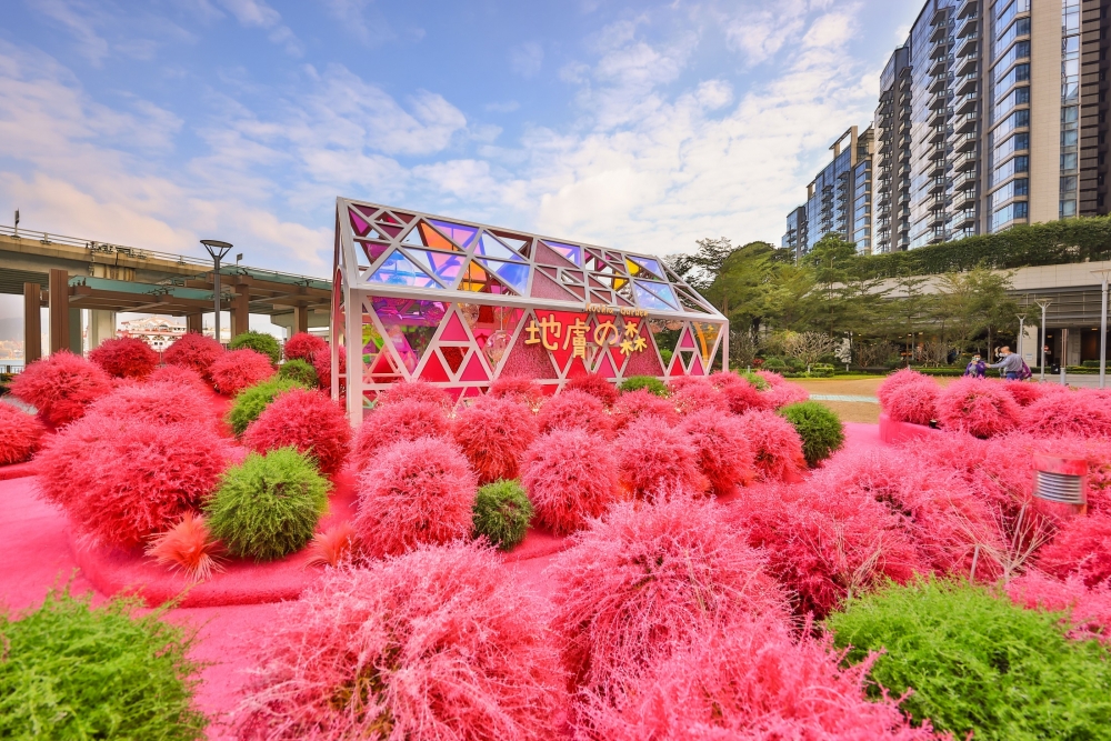港版日本波波草園「地膚之森」。