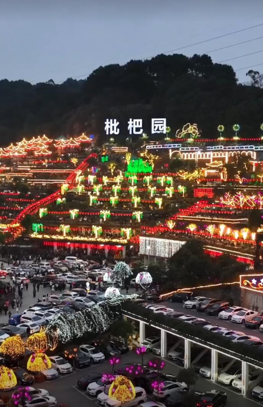 枇杷園食為鮮火鍋