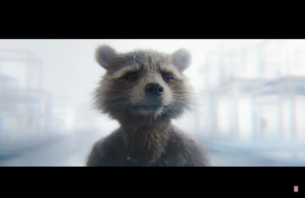 不少網民都猜測今集擔當主角的火箭浣熊會死去～