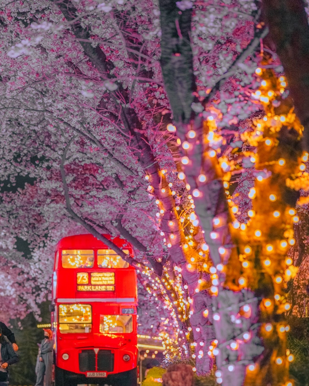 E-world星光櫻花節係韓國唯一的夜櫻慶典！