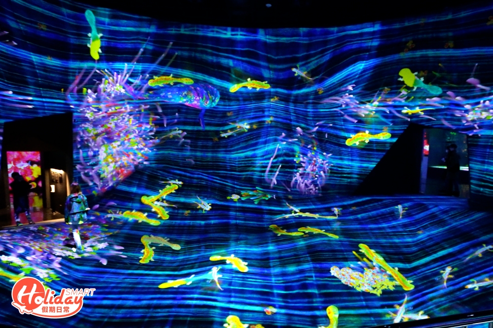 大家也可置身於海洋投影中，在模仿海洋的高低不平的地面上與動物互動。