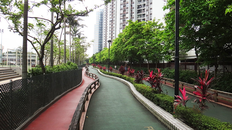 香港賞櫻好去處：鰂魚涌公園 