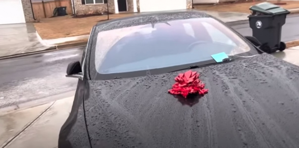 torneshia2340 TikTok