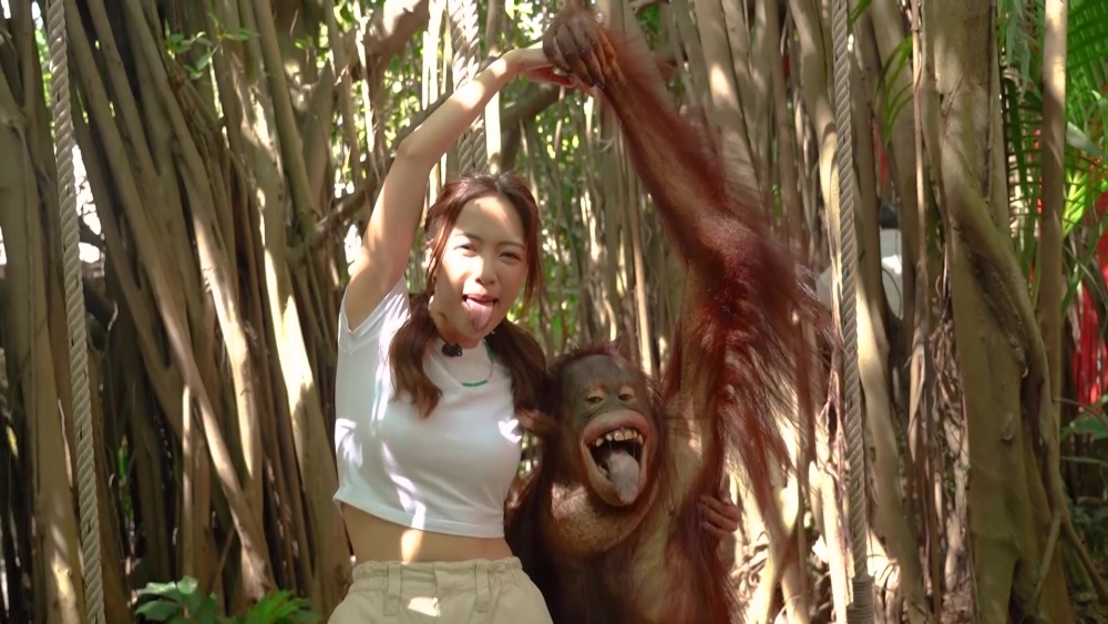 彭慧中覺得自己事業停滯不前。