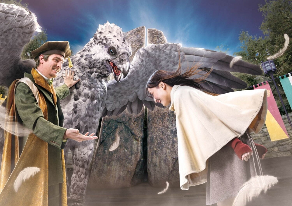 在「鷹馬魔法班」學習如何同鷹馬打招呼!