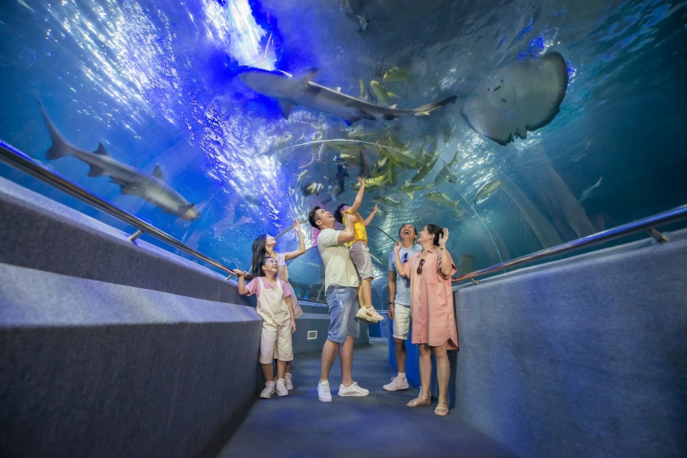 水族館內有巨型觀景區、玻璃廊道等區域。
