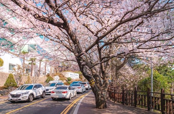 海雲台的迎月路擁有「釜山蒙馬特」之稱～