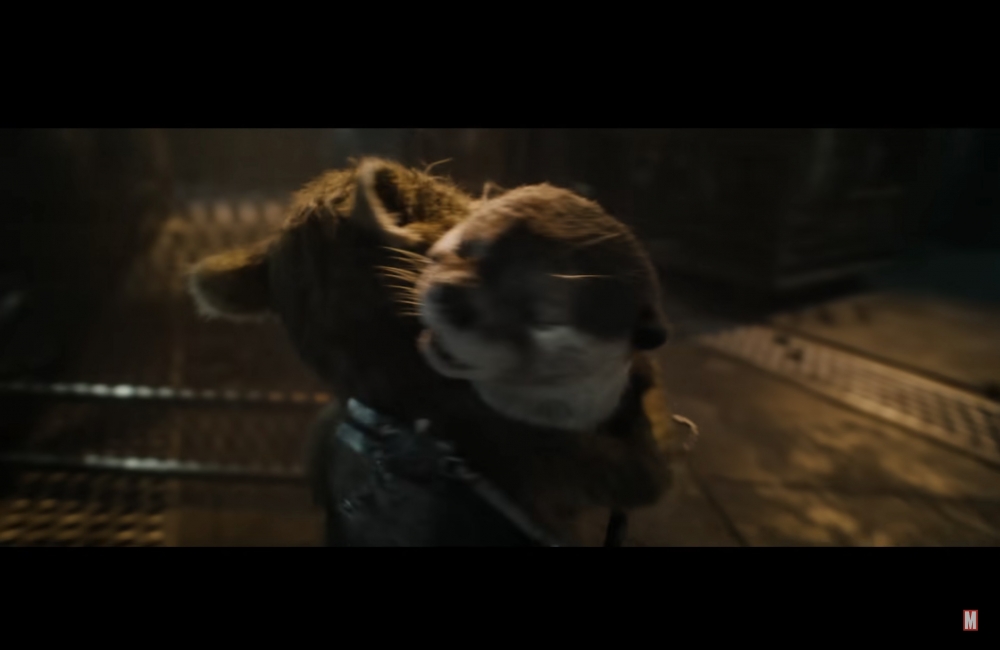 火箭浣熊的靈魂伴侶水獺Lady Lylla，被網民大讚比格魯特更可愛！