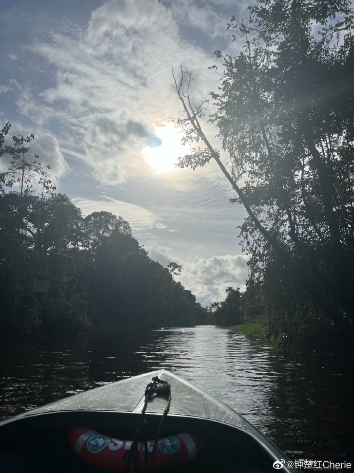 最近鍾楚紅去咗馬來西亞沙巴