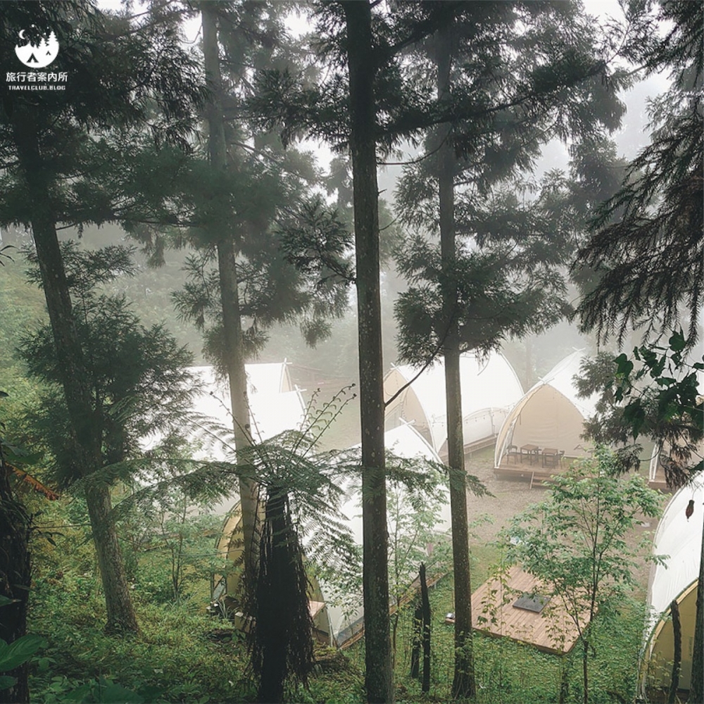 「山谷小鹿」可以感受被森林包圍嘅感覺。