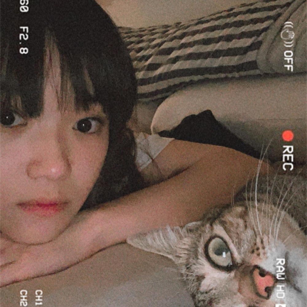 麥可怡上年年尾貼出一張與貓嘅合照。