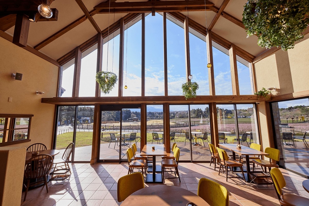 咖啡廳的採光度十分充足，環境舒適優雅～