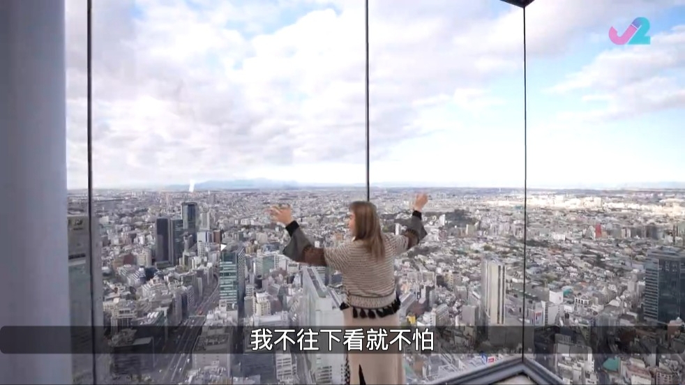 第一層可以俯視東京景色。