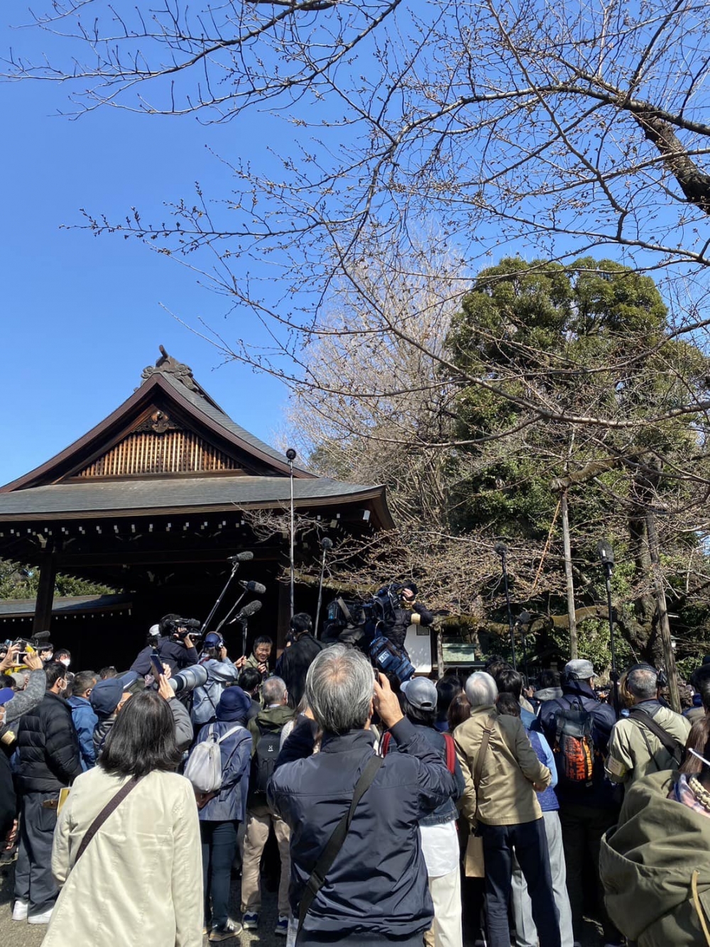 日本氣象廳宣布東京櫻花於3月14日正式開花，比往年足足提前10天！