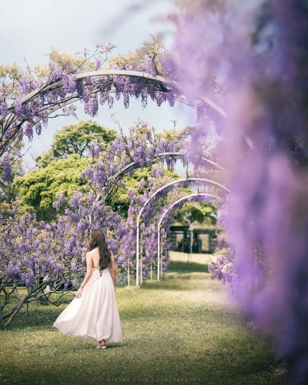 二號園區佔地更大，設有多個絕美夢幻影相區域！