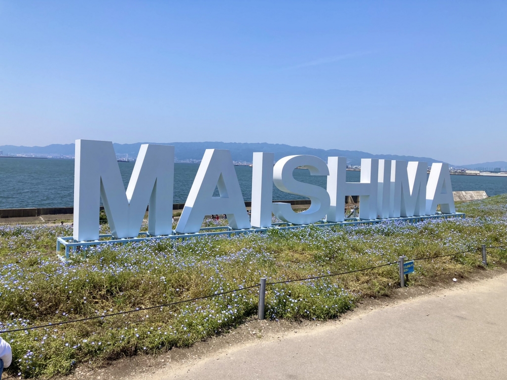 大阪港的人工島「舞洲」海濱公園每年4月至5月都會舉辦「大阪粉蝶花祭」。