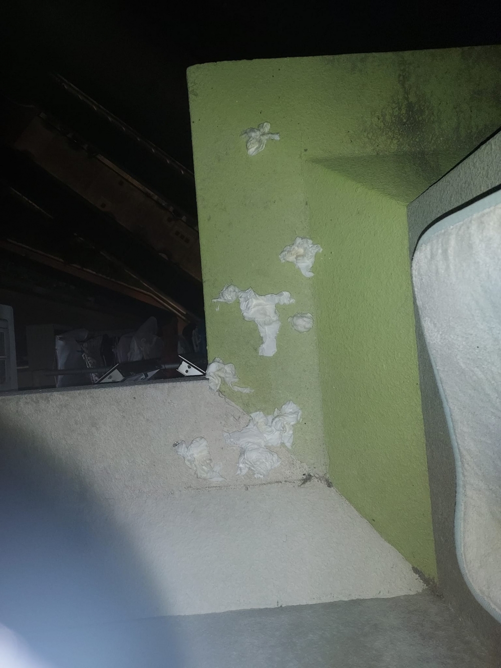 「 將軍澳主場」@Facebook