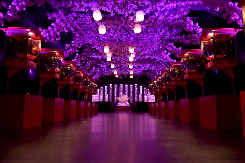 金魚提燈-櫻滿開。