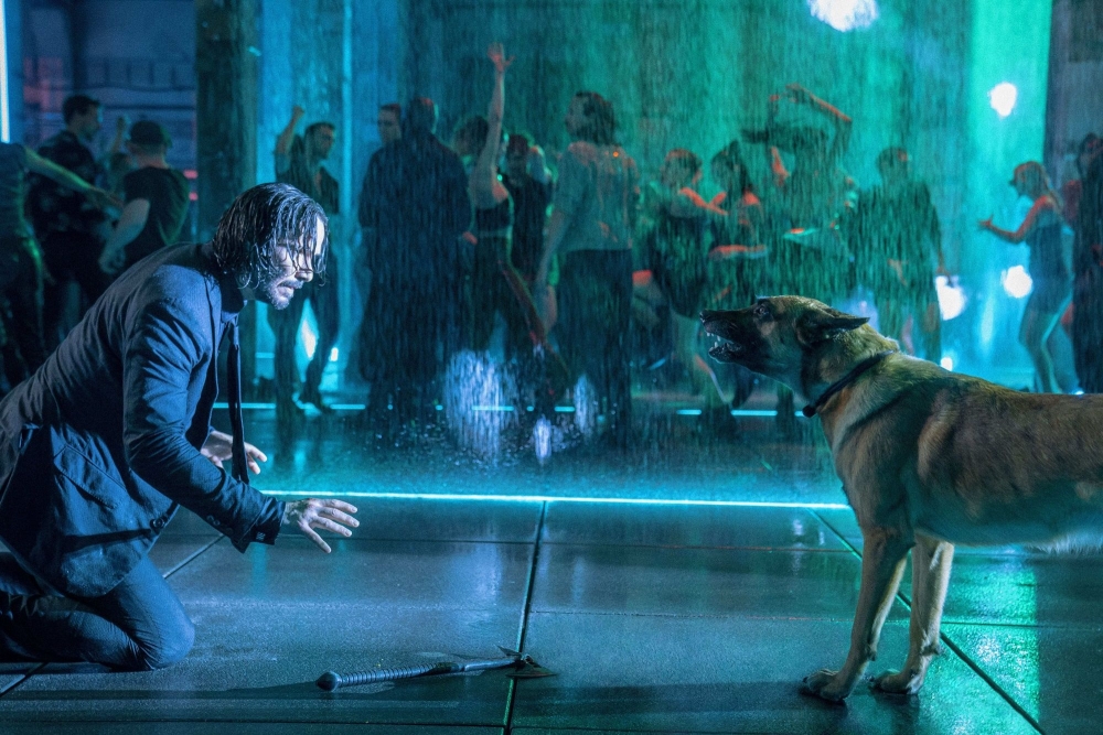 《殺神John Wick》從第一集開始，狗狗就成為電影不可缺少的元素，每集都會出現，加入貫穿系列的動保議題！