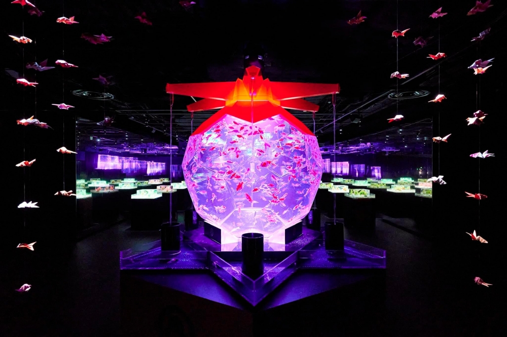 「Art Aquarium Museum GINZA」藝術水族館係東京銀座的全新絕美打卡熱點！