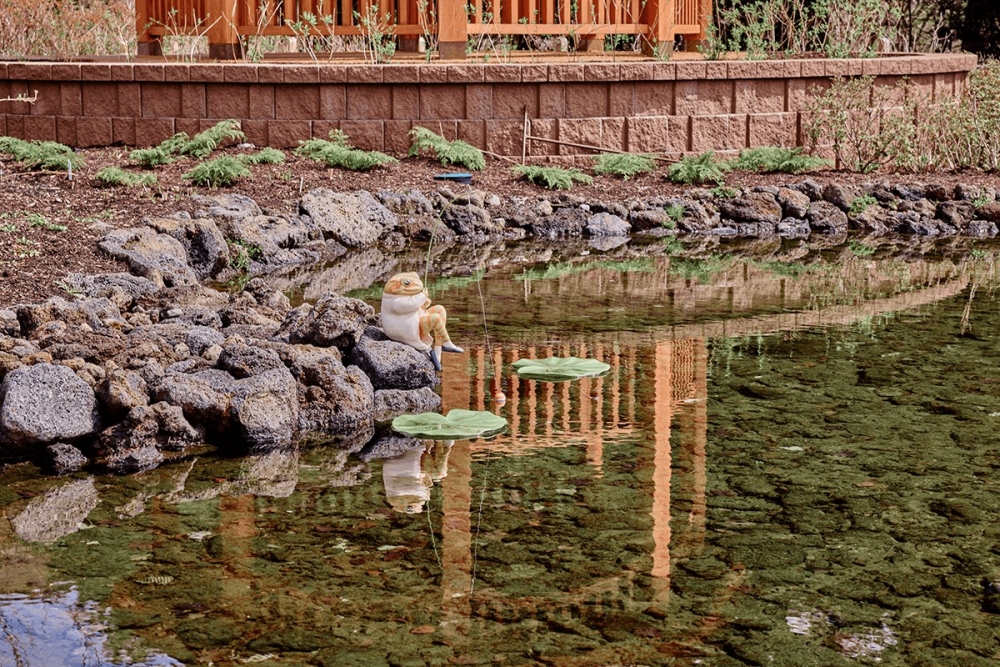 庭院以英國湖區為設計靈感打造～