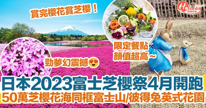 【富士山景點】日本富士芝櫻祭4月開跑！50萬芝櫻花海同框富士山/彼得兔英式花園！勁夢幻震撼！
