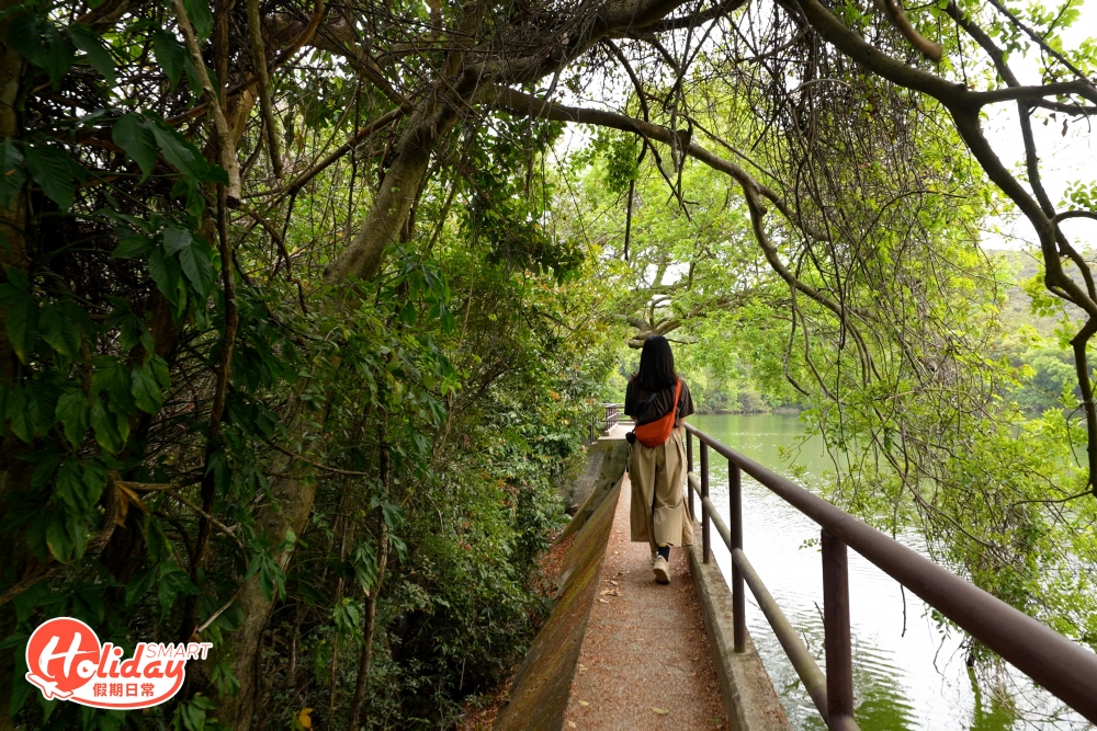 一個打卡位就是水壩路,這條窄長的路配上樹蔭後,卻成為了一幅美景!