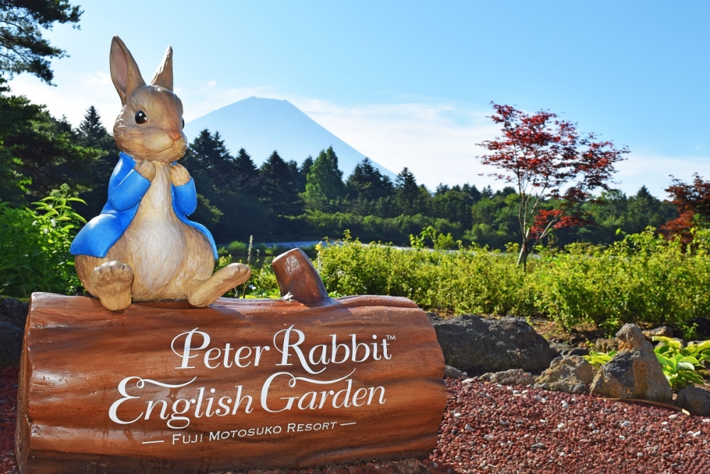 富士本栖湖渡假村上年特設「皮特兔™ 英式花園Peter Rabbit English Garden」！