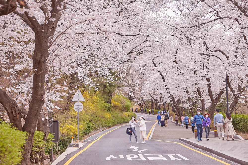 韓國已於3月20日全面解除乘搭公共交通須戴口罩的要求。