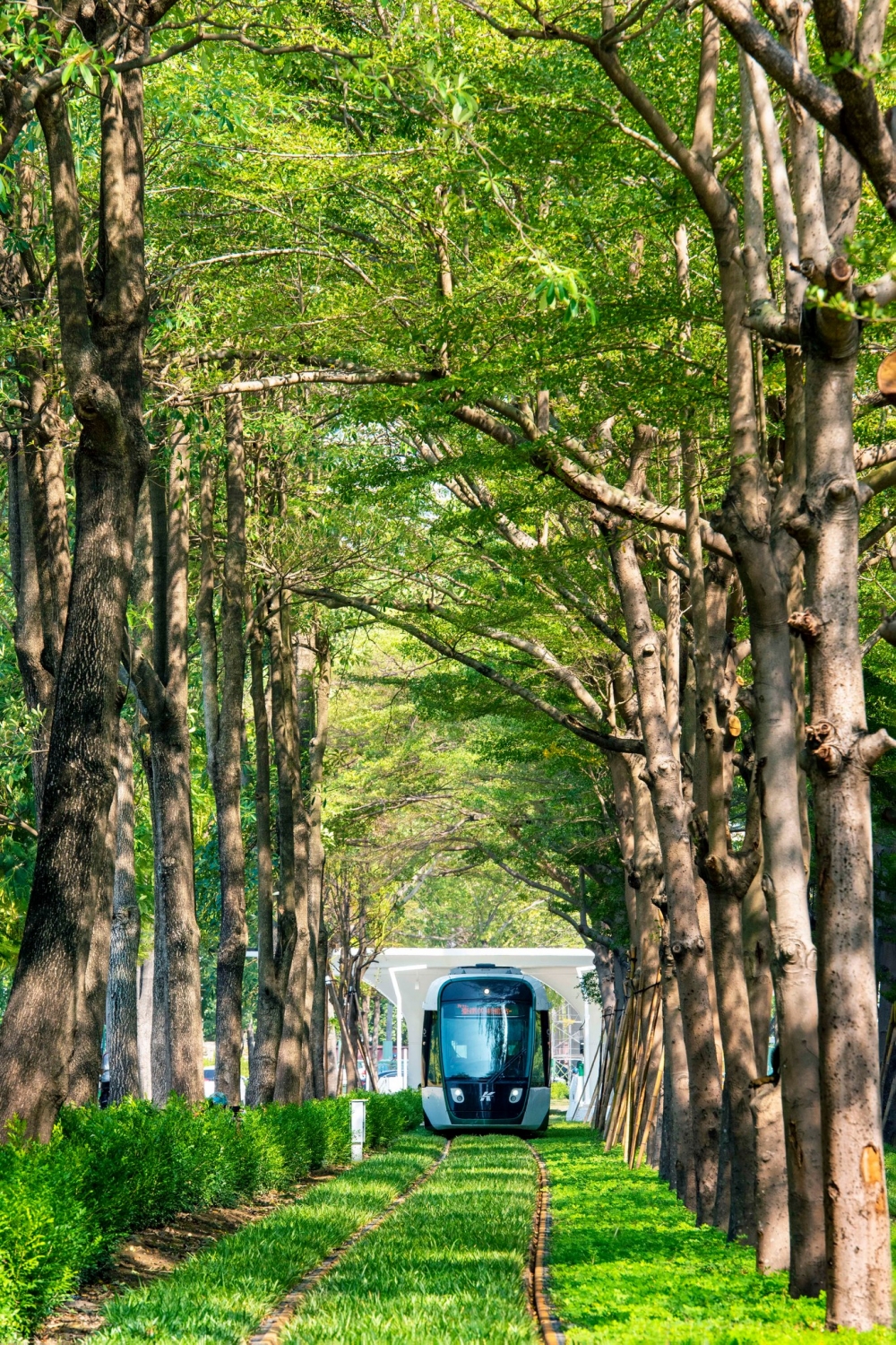 高雄輕軌於去年10月開通多個新站點,從「C20台鐵美術館站」至「C24愛河之心站」。