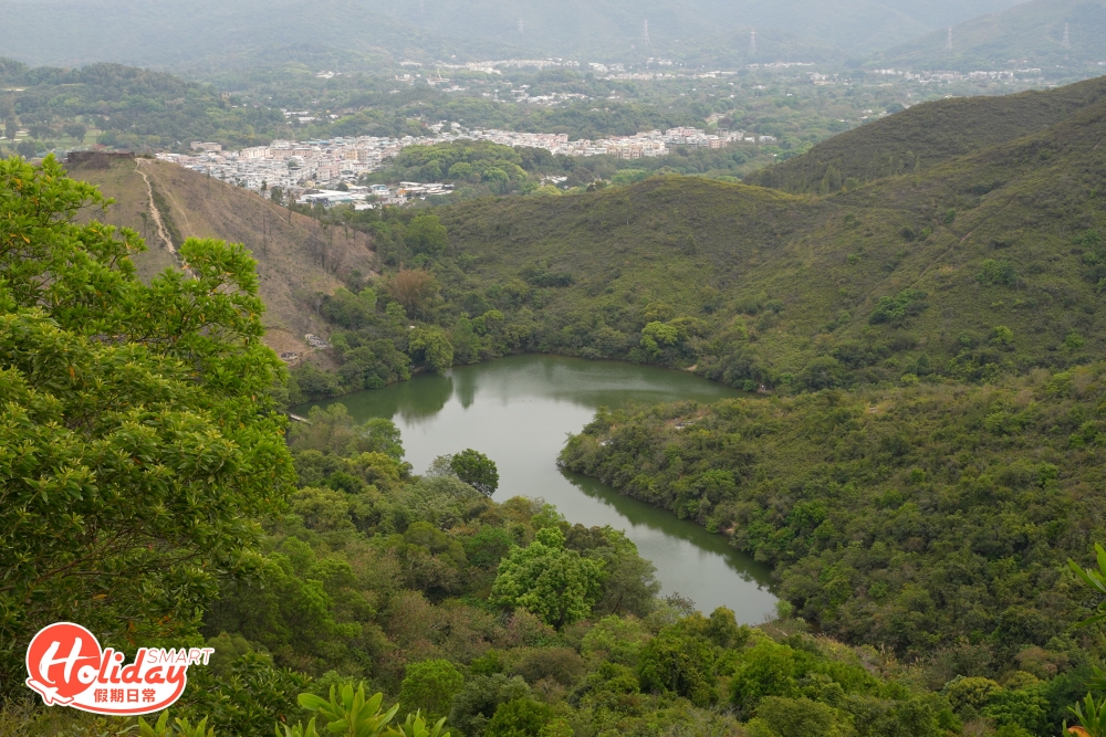 要看心形湖不用去日本北海道,香港上水也有一個!