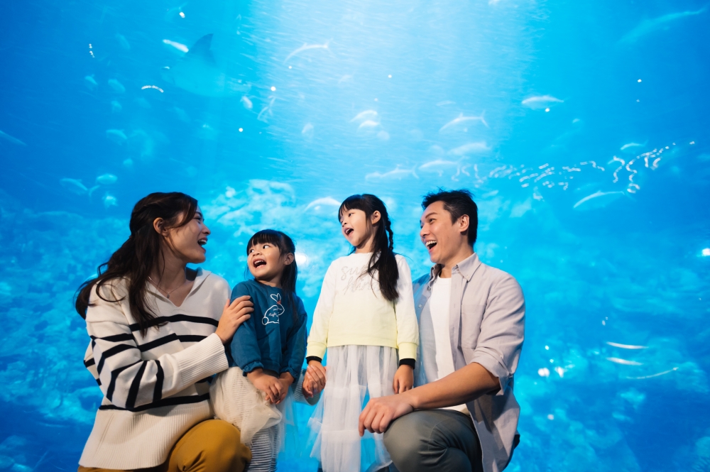 玩完一日當然要再Encore