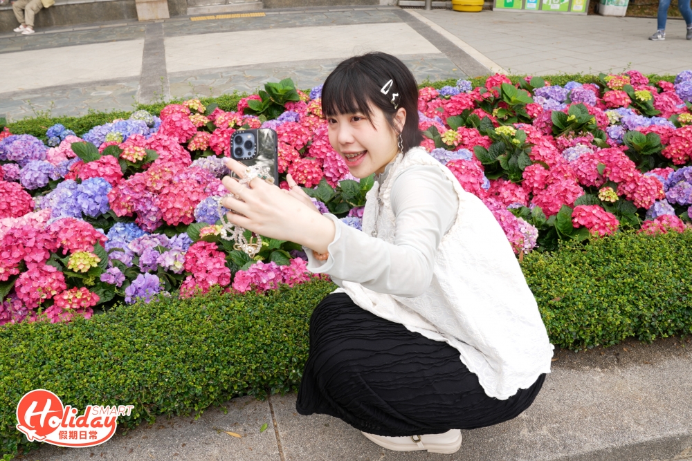 北區公園繡球花盛開，記者當然要把握時機與這片期間限定的花海自拍。相當「打卡able」