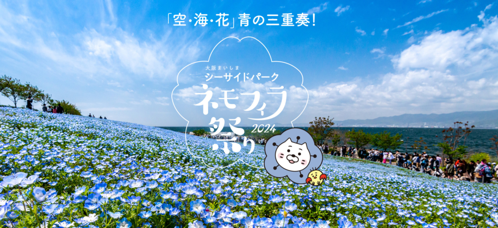 大阪粉蝶花祭4月再度回歸！