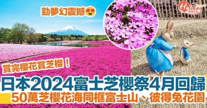 【富士芝櫻祭2024】日本富士芝櫻祭4月回歸！50萬芝櫻花海同框富士山、彼得兔花園！勁夢幻震撼！