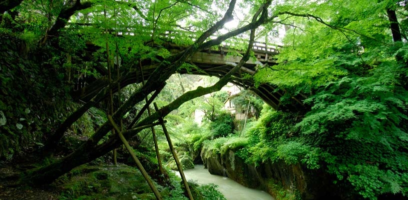 山中溫泉 官網